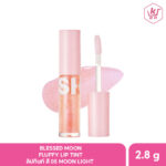 Blessed Moon Fluffy Lip Tint 05 MOONLIGHT